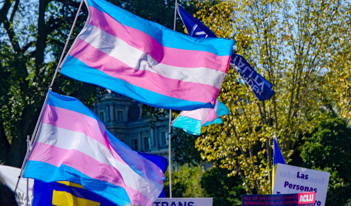 The roots of Trans oppression